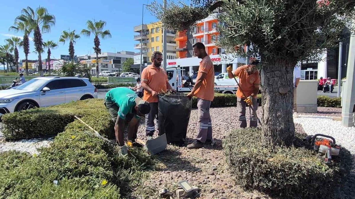 Kuşadası’nda yeşil alanlar bakıma alındı