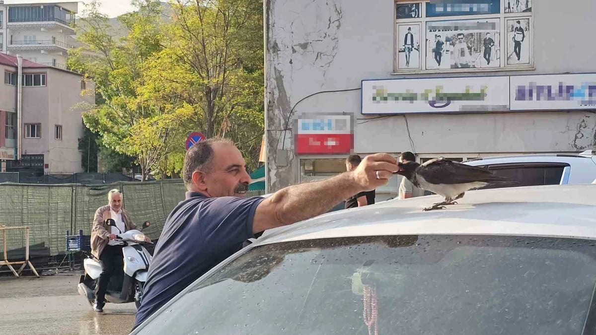 Adilcevaz’da kasap ile karga arasındaki sıra dışı dostluk görenleri gülümsetiyor