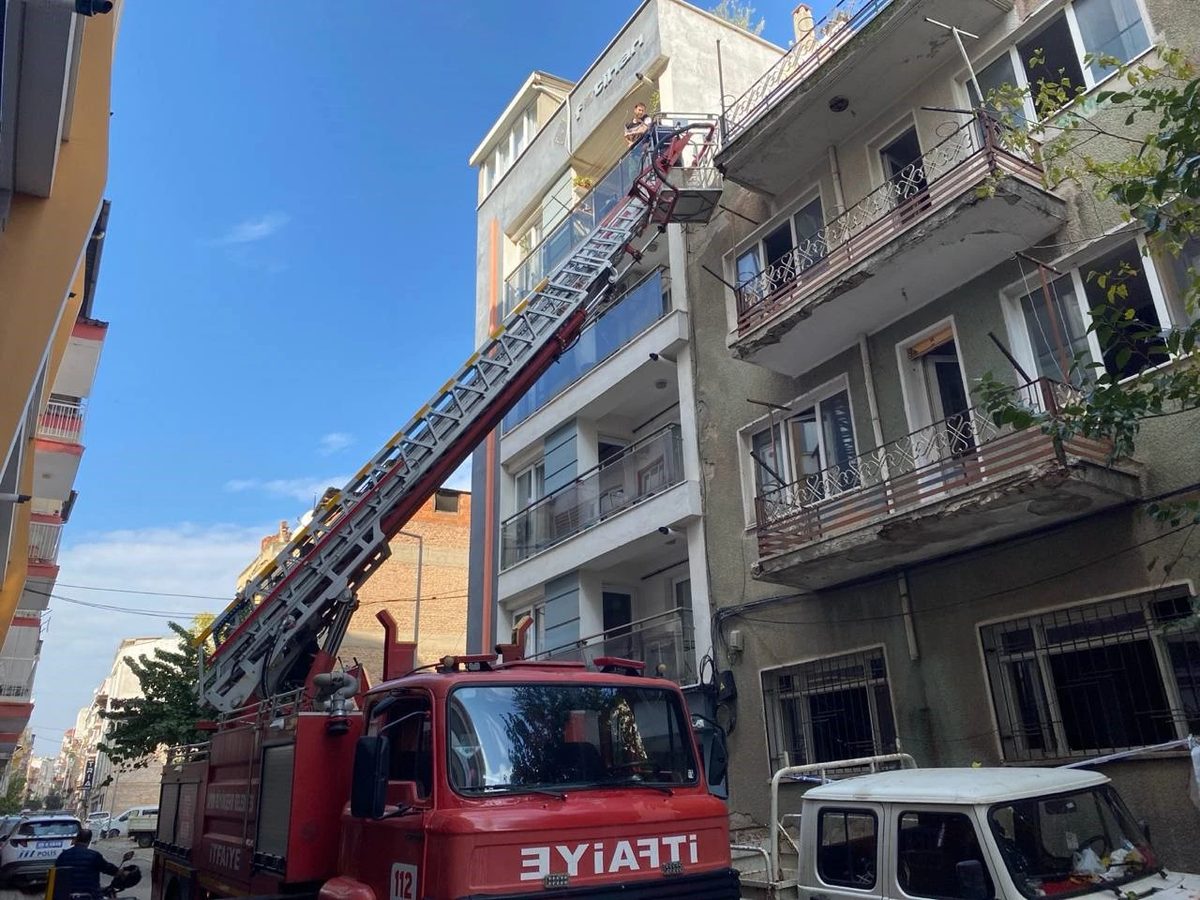 Aydın'da çatıya kaçan kediyi itfaiye merdivenli araçla yakaladı