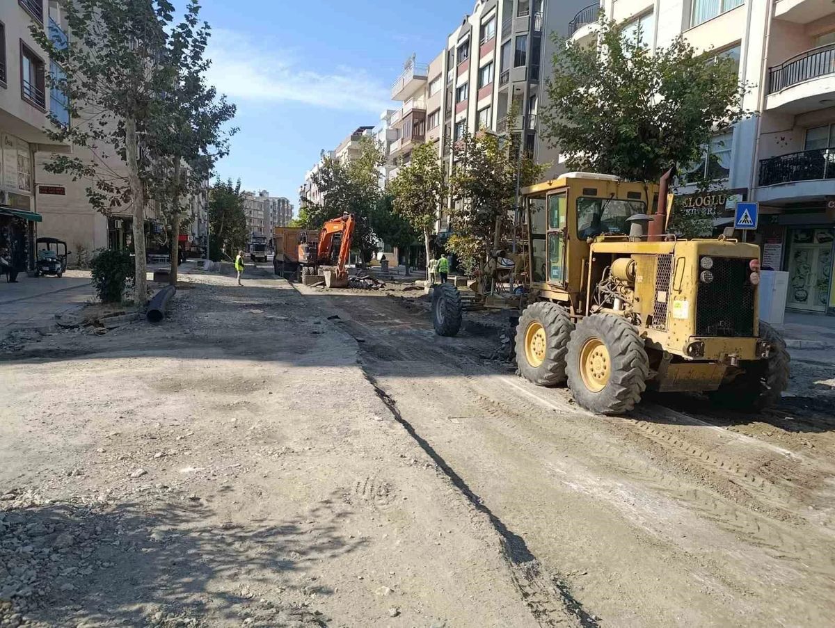 Aydın’ın 17 ilçesinde yollar için eş zamanlı çalışma