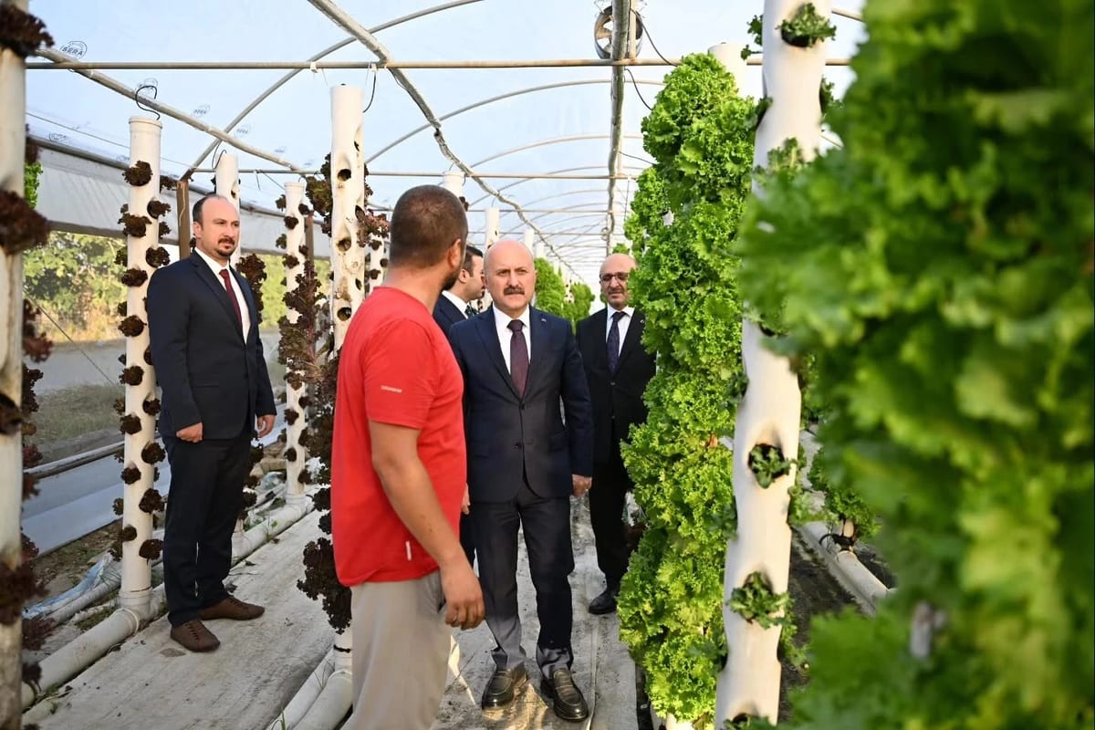 Aydın Valisi Varol, ADÜ Ziraat Fakültesi’nin uygulama alanlarını inceledi