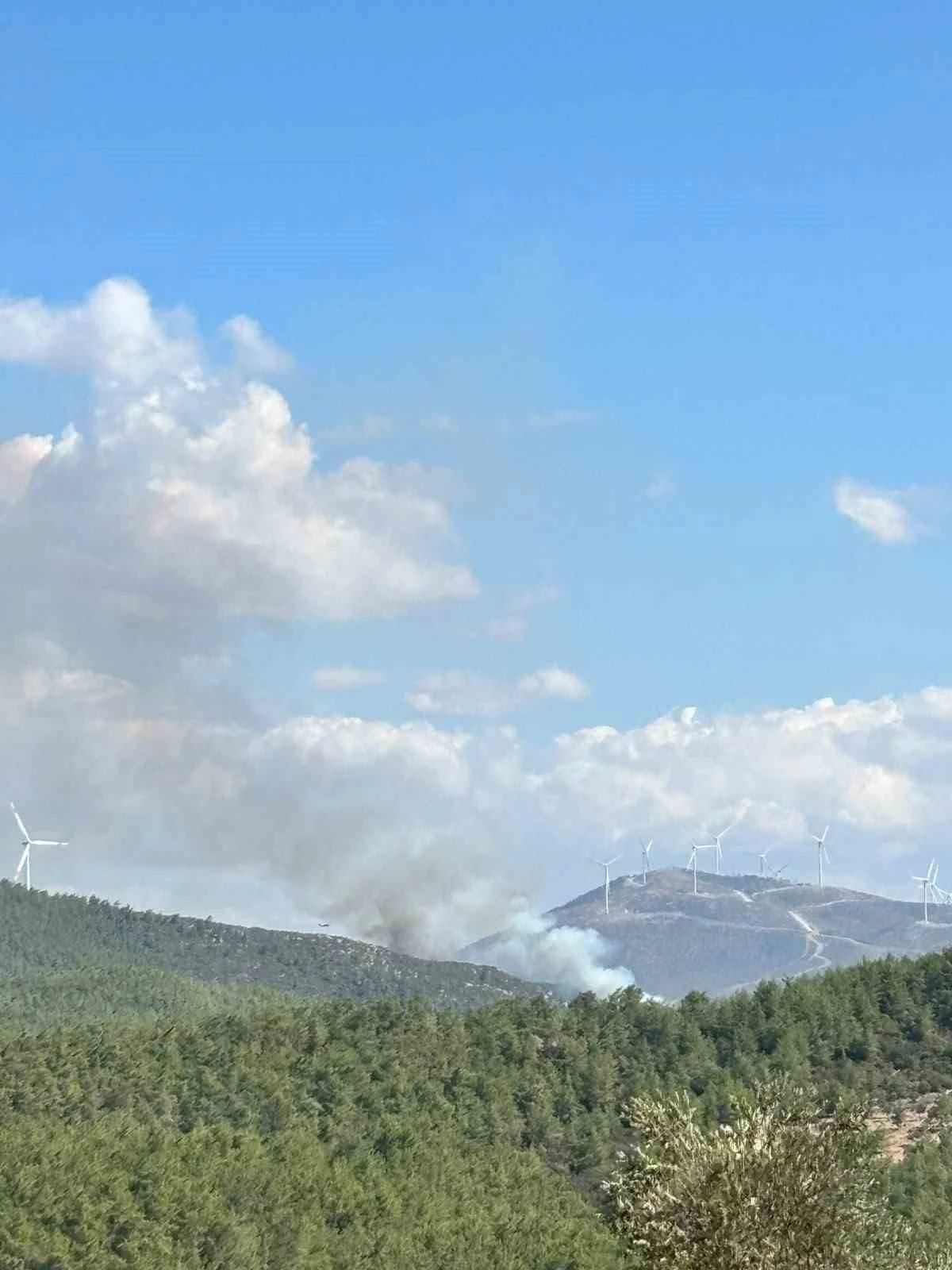 Bodrum’da orman yangını çıktı