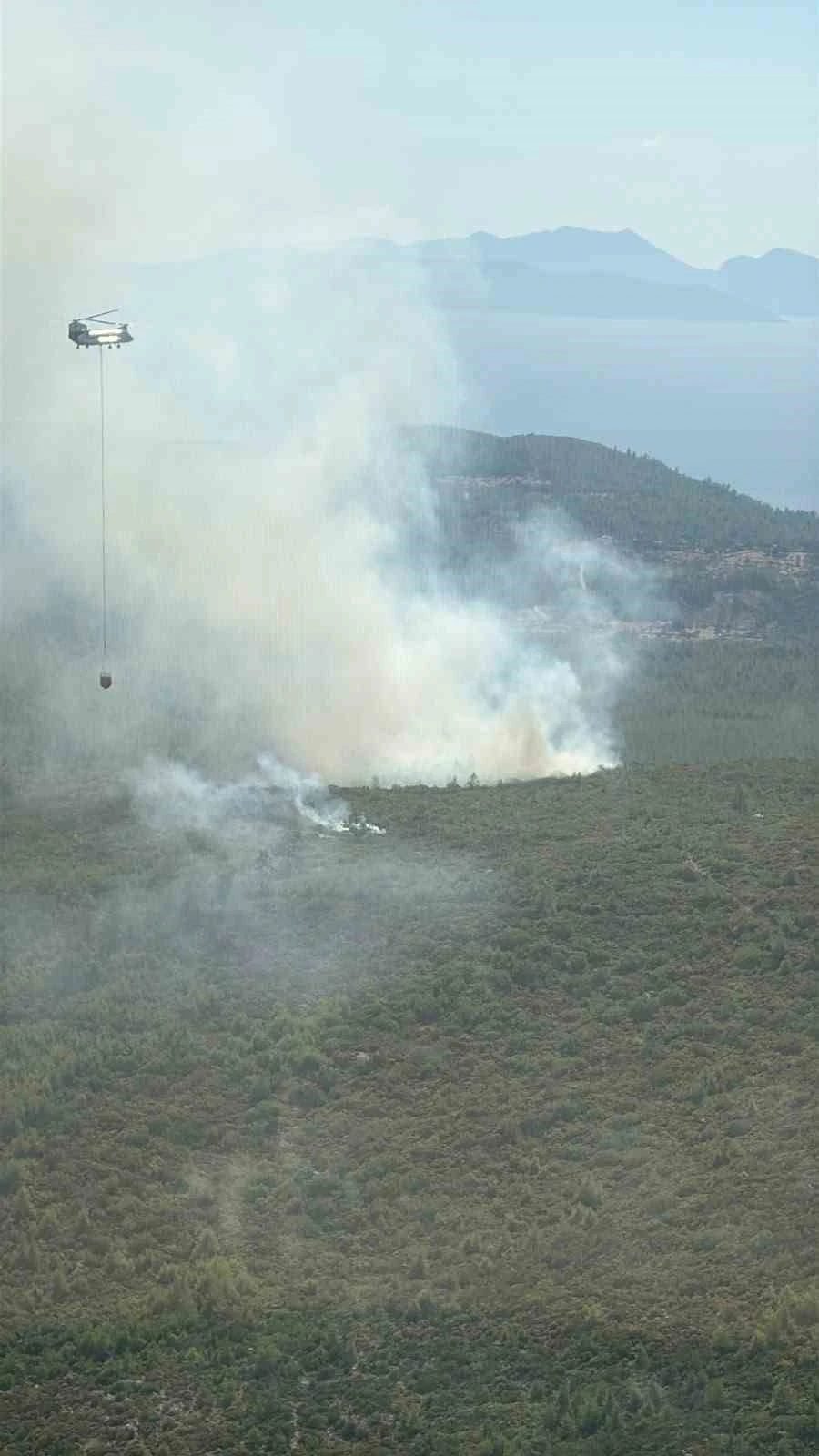 Bodrum’da orman yangını çıktı