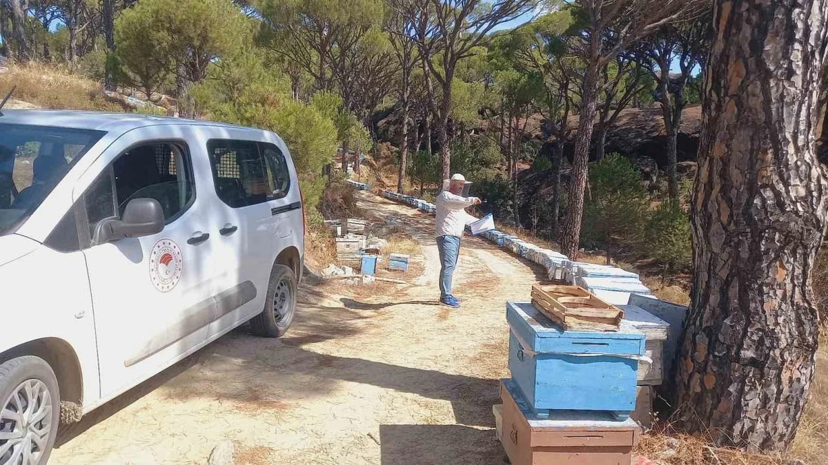 Bozdoğan’da arıcılara yönelik destek çalışmaları sürüyor