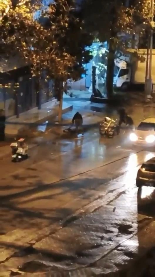 Bursa’da kaza sonrası yola saçılan meyveleri vatandaşlar topladı