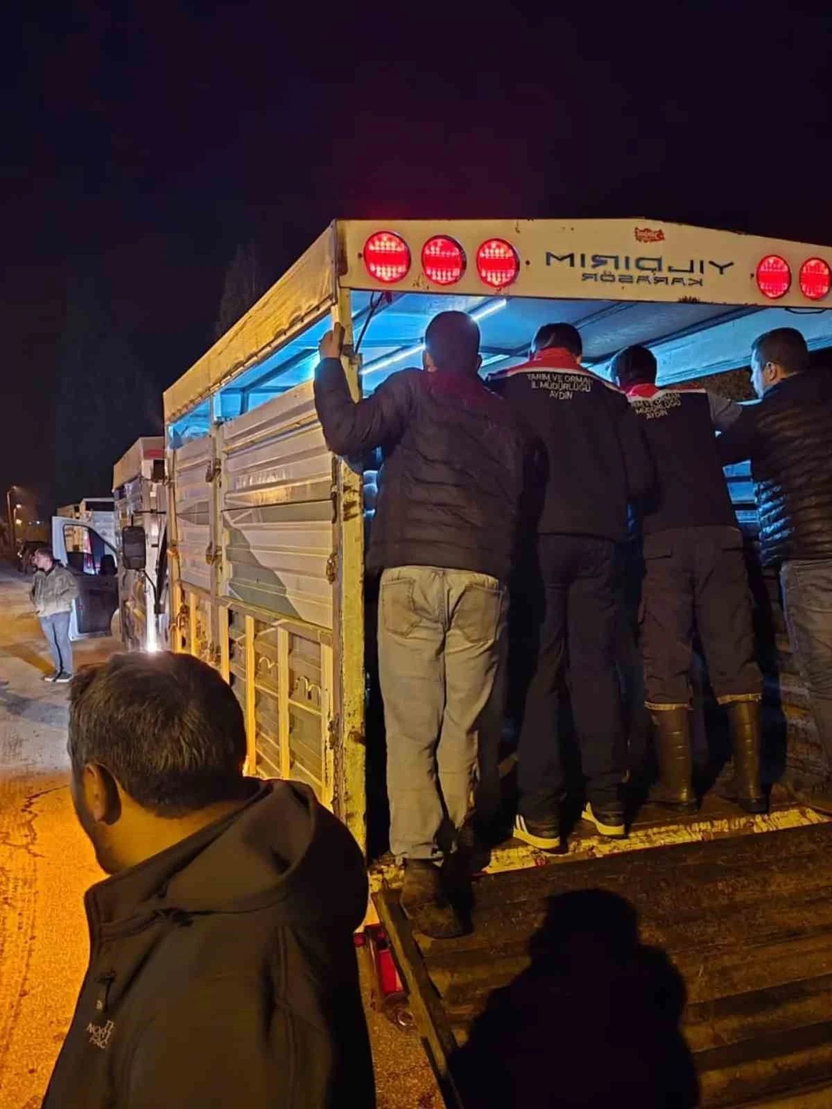 Çine Hayvan Pazarı denetimlerle yeniden açıldı