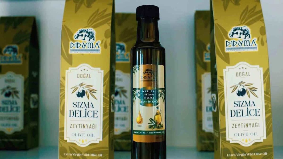 Didim Belediyesi, zeytin hasadına başladı