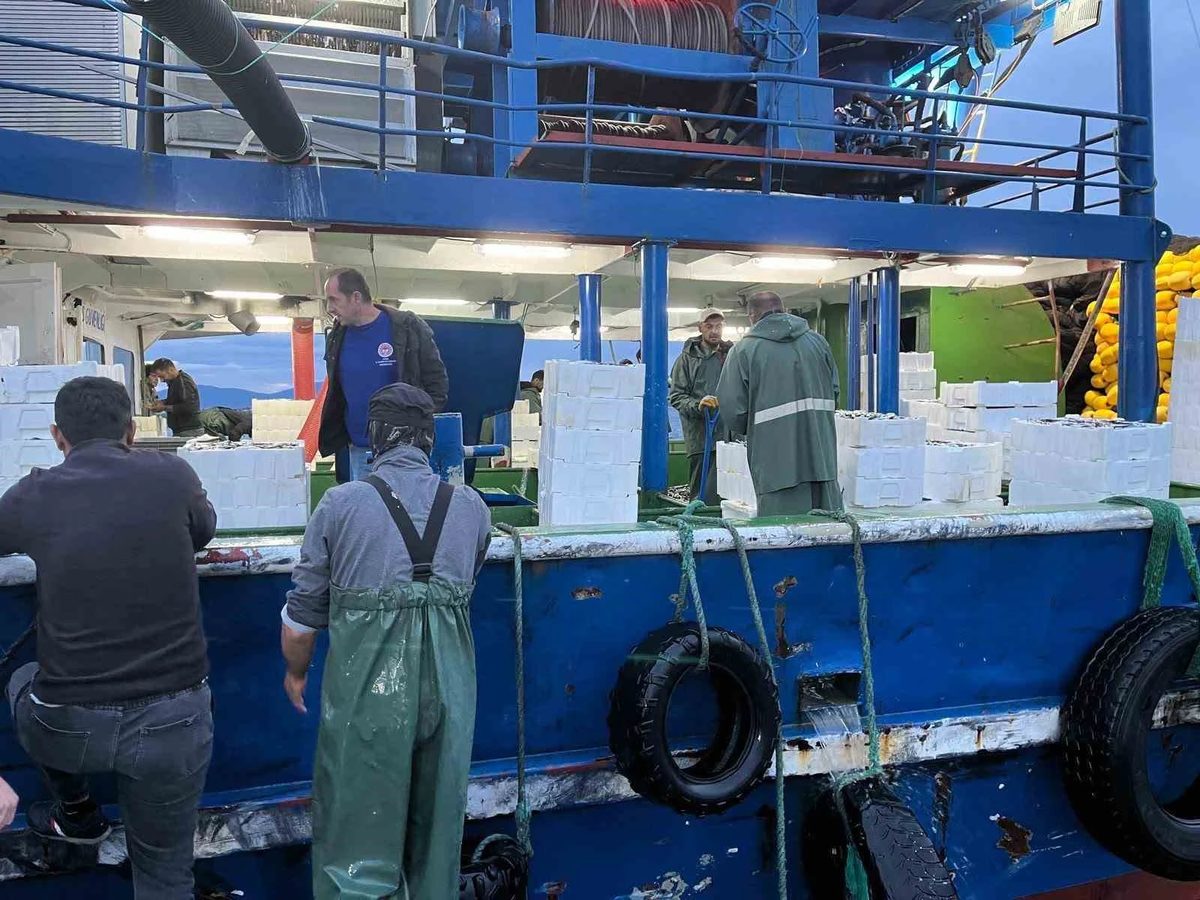 Didim’de ‘Hamsi Kotası’ denetimi yapıldı