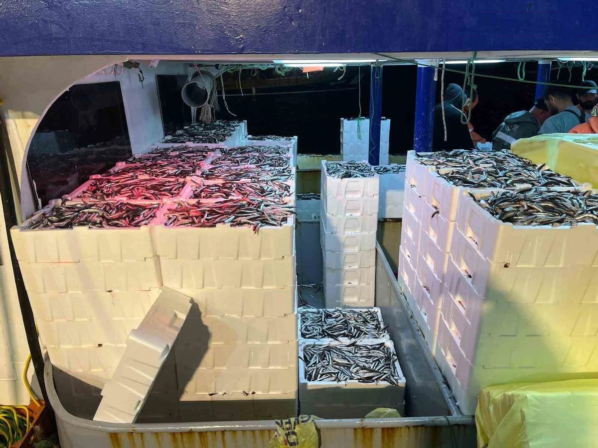 Didim’de ‘Hamsi Kotası’ denetimi yapıldı
