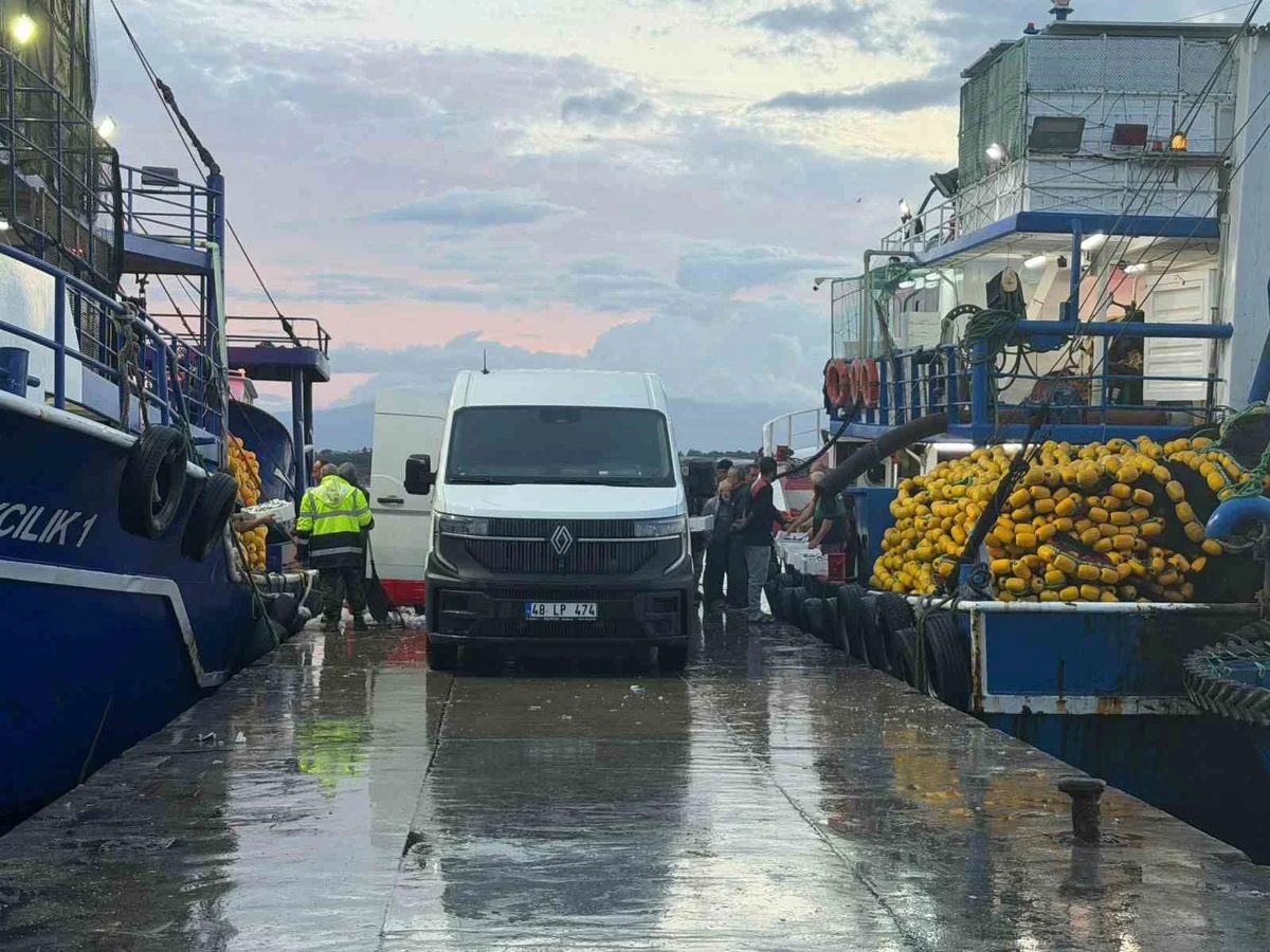Didim’de ‘Hamsi Kotası’ denetimi yapıldı