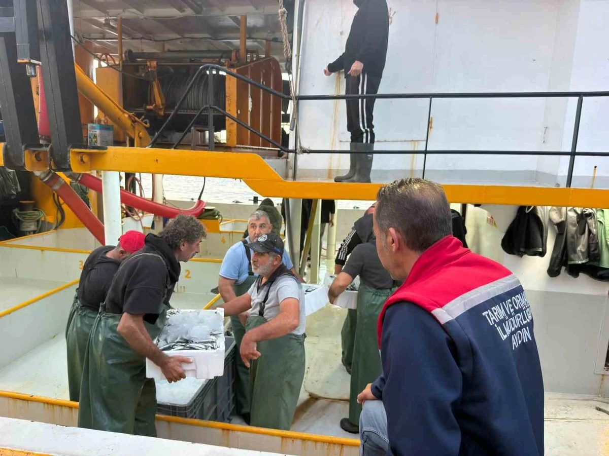 Didim’de hamsi kotası denetimleri sürüyor