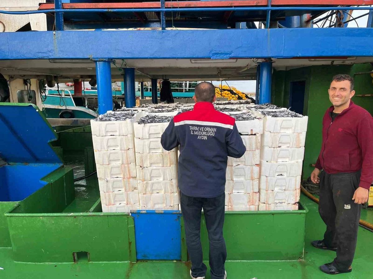 Didim’de Tarım ve Orman ekipleri hamsi kota denetimlerini sürdürüyor
