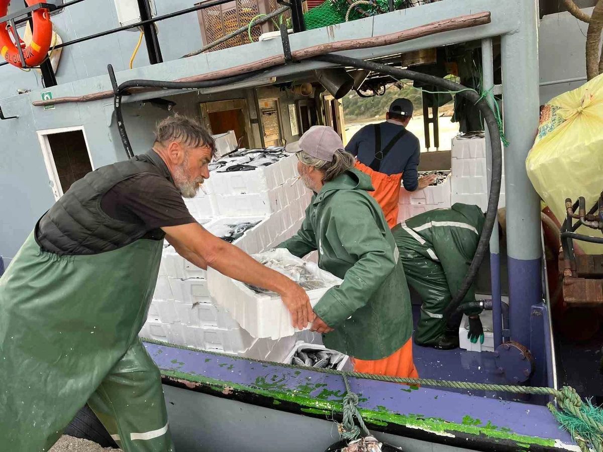Didim’de Tarım ve Orman ekipleri hamsi kota denetimlerini sürdürüyor