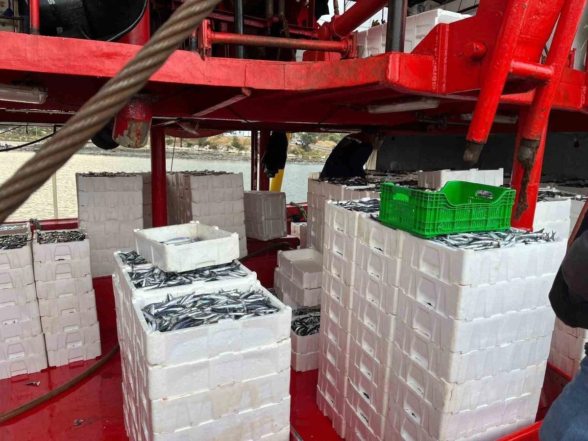 Didim’de Tarım ve Orman ekipleri hamsi kota denetimlerini sürdürüyor