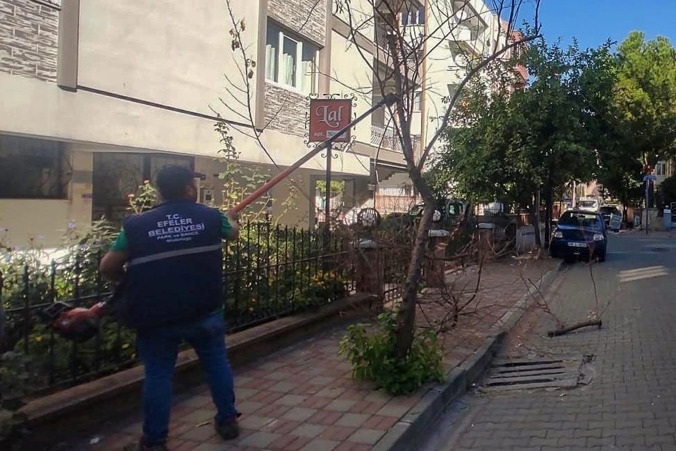 Efeler’de yeşil alanlara bakım