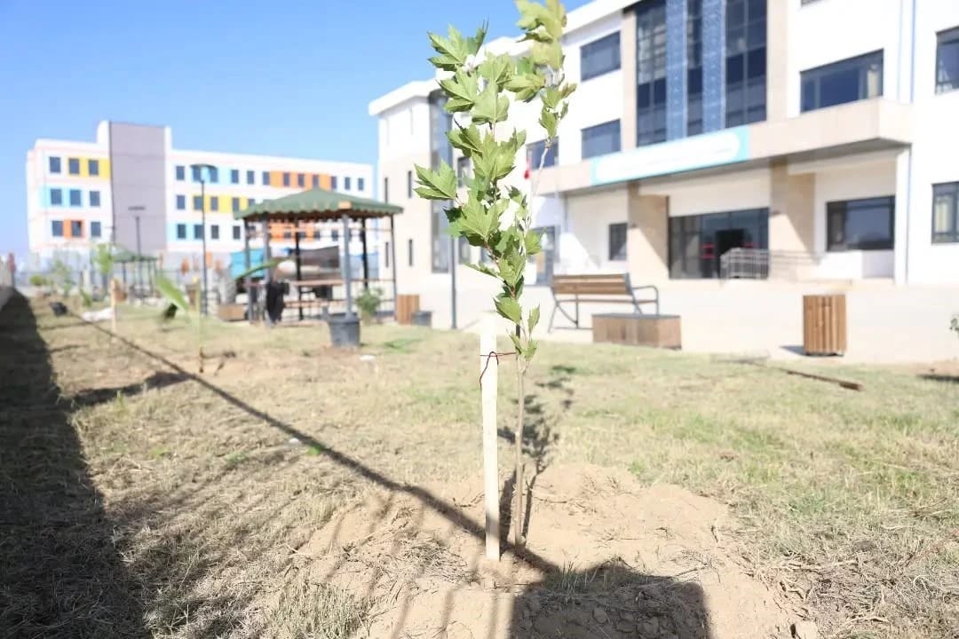 İncirliova Belediyesi özel eğitim okulu bahçesini fidan ve çiçeklerle donattı