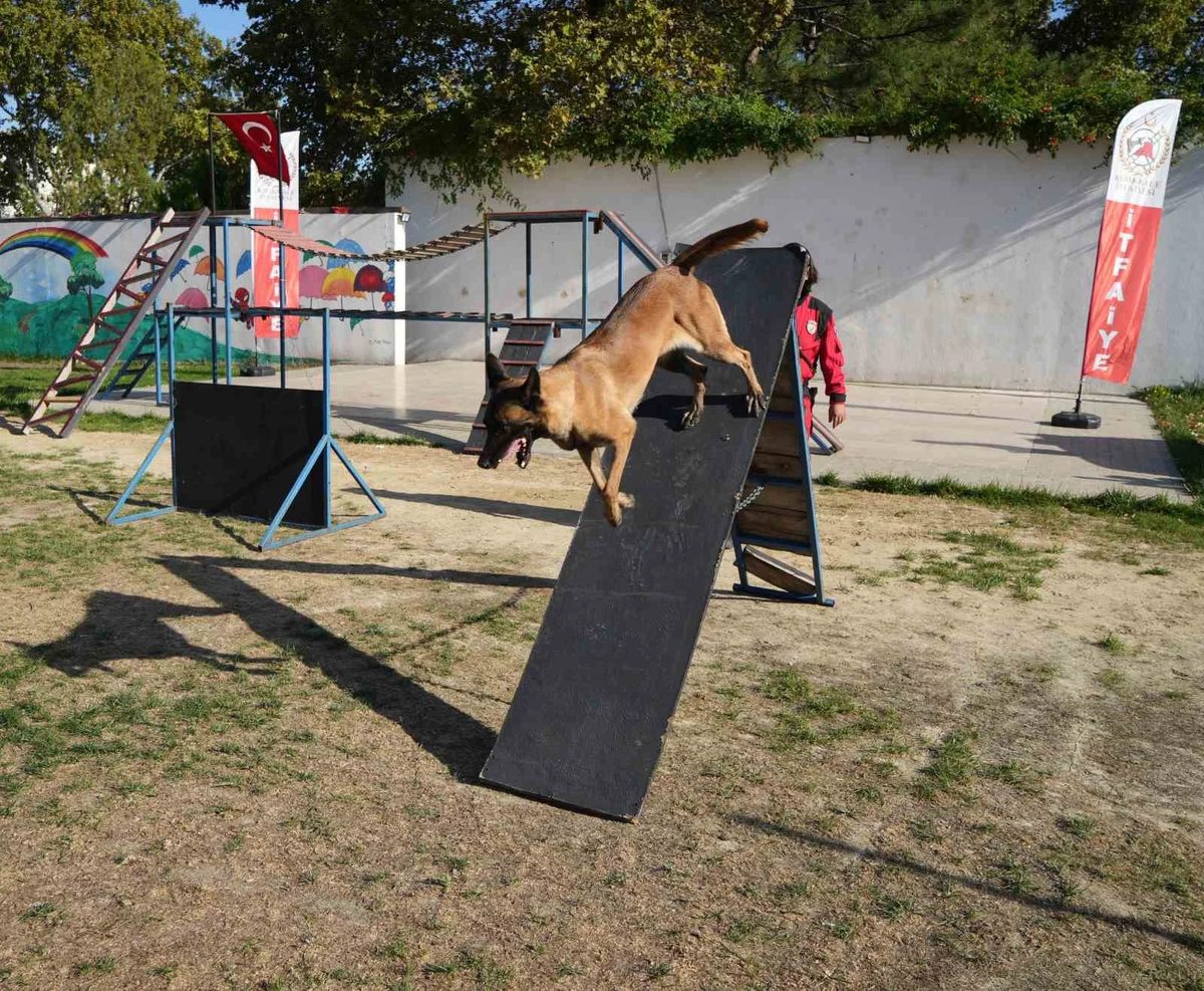 K9 köpekler hünerlerini sergiledi: Saklanan çocukları saniyeler içinde buldular