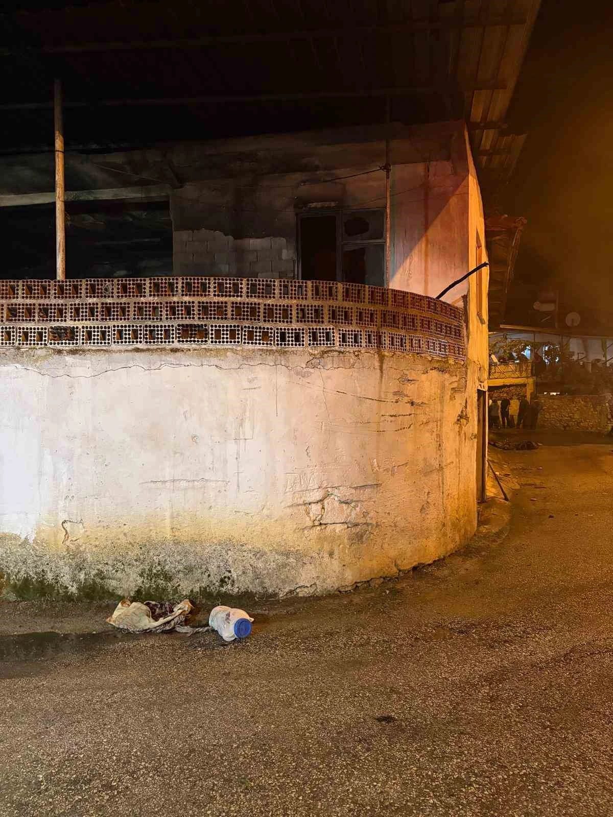 Karacasu’daki yangında 3 kişi yaralandı