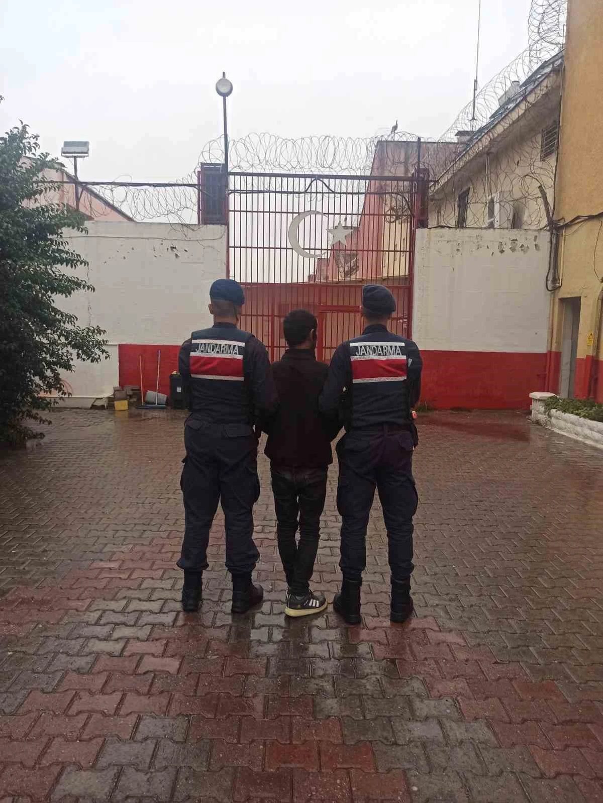 Koçarlı’da 4 büyükbaş hayvanı çalıp satan 33 yaşındaki F.T. tutuklandı