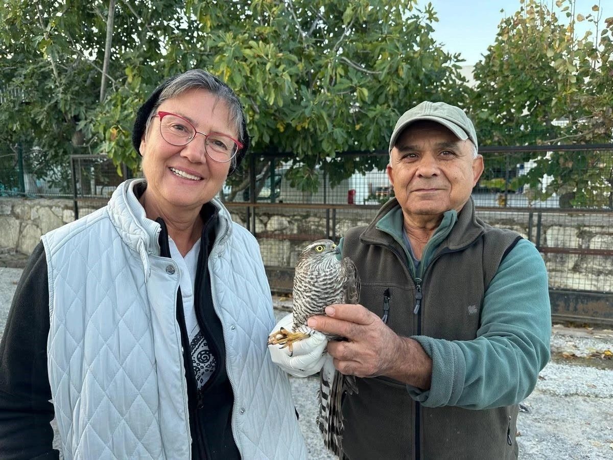 Kuşadası’nda kurtarılan atmaca ve sansar yeniden doğaya bırakıldı