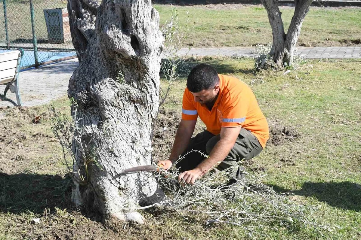 Kuşadası’nda park ve yeşil alanlar bakımdan geçiriliyor