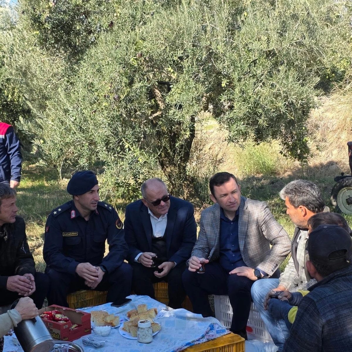 Kuyucak’ta zeytin bahçelerinde hasat mesaisi