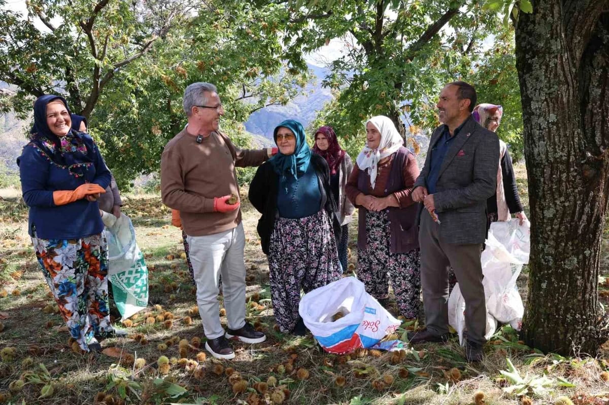 Nazilli Belediye Başkanı Tetik, kestane üreticilerinin sorunlarını dinledi