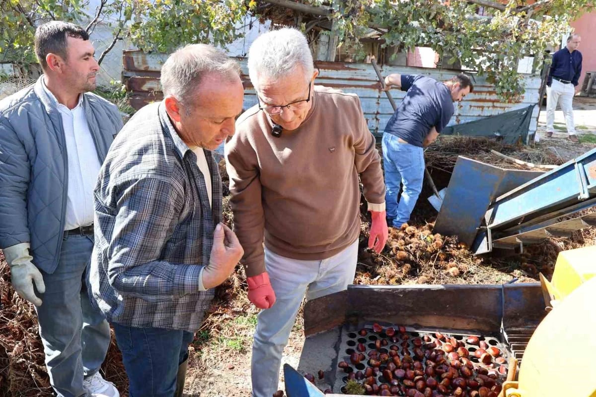 Nazilli Belediye Başkanı Tetik, kestane üreticilerinin sorunlarını dinledi