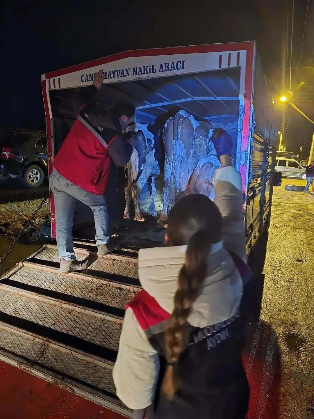 Nazilli'de küpesiz ve belgesiz hayvanların pazara girişine izin verilmedi