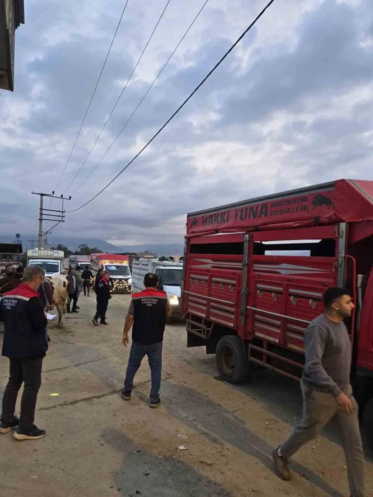 Nazilli Hayvan Pazarı açıldı, denetimler sıkılaştırıldı