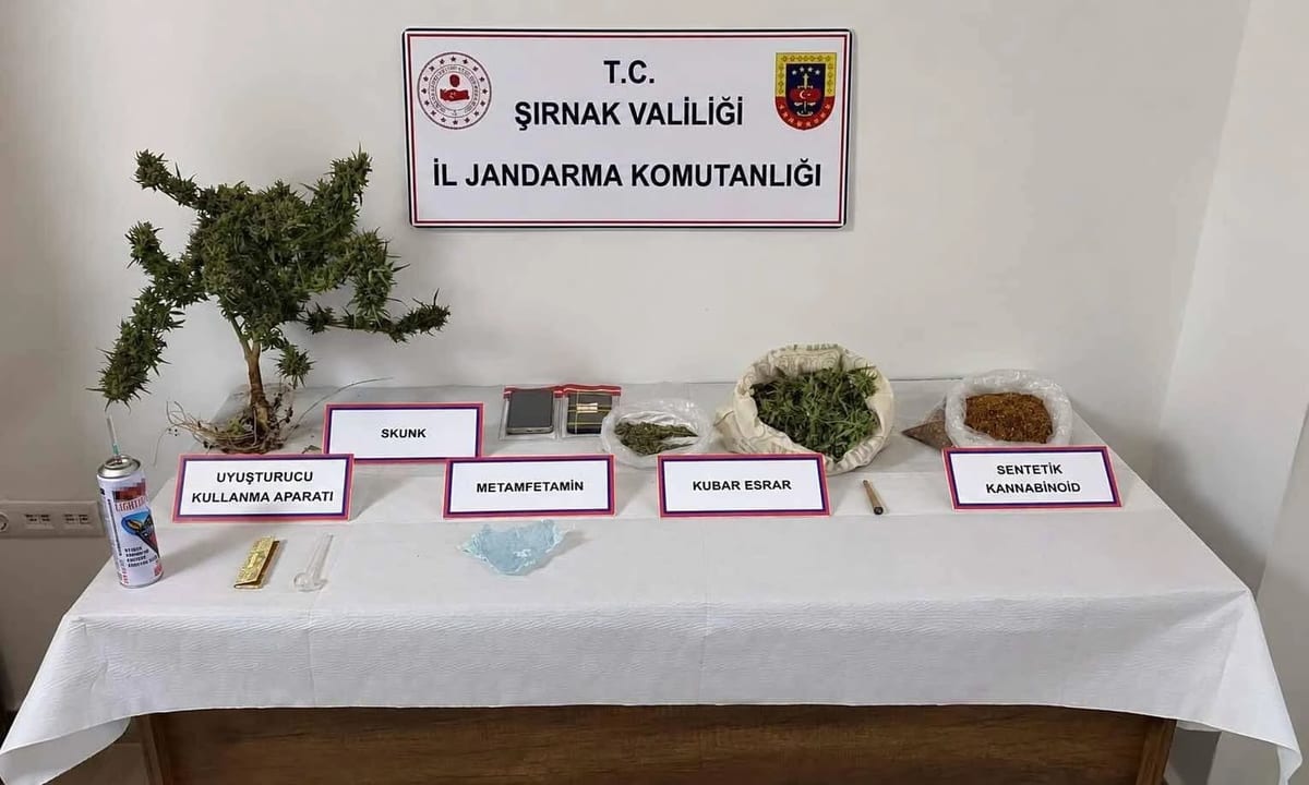 Şırnak’ta 3 tır içerisinde silah ve uyuşturucu ele geçirildi