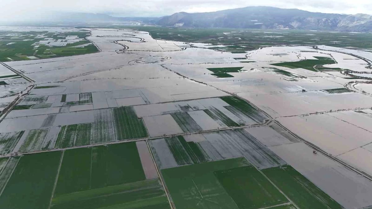 Tatarlar'da 8 ay sonra tarım ekipleri taşkın bölgesini yeniden inceledi