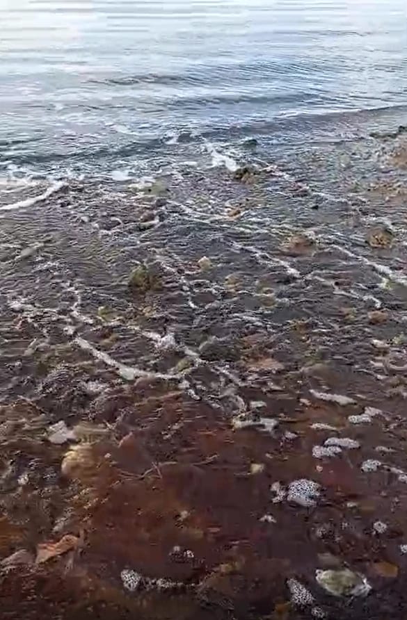 Yalova’da kırmızı renkli su denize döküldü