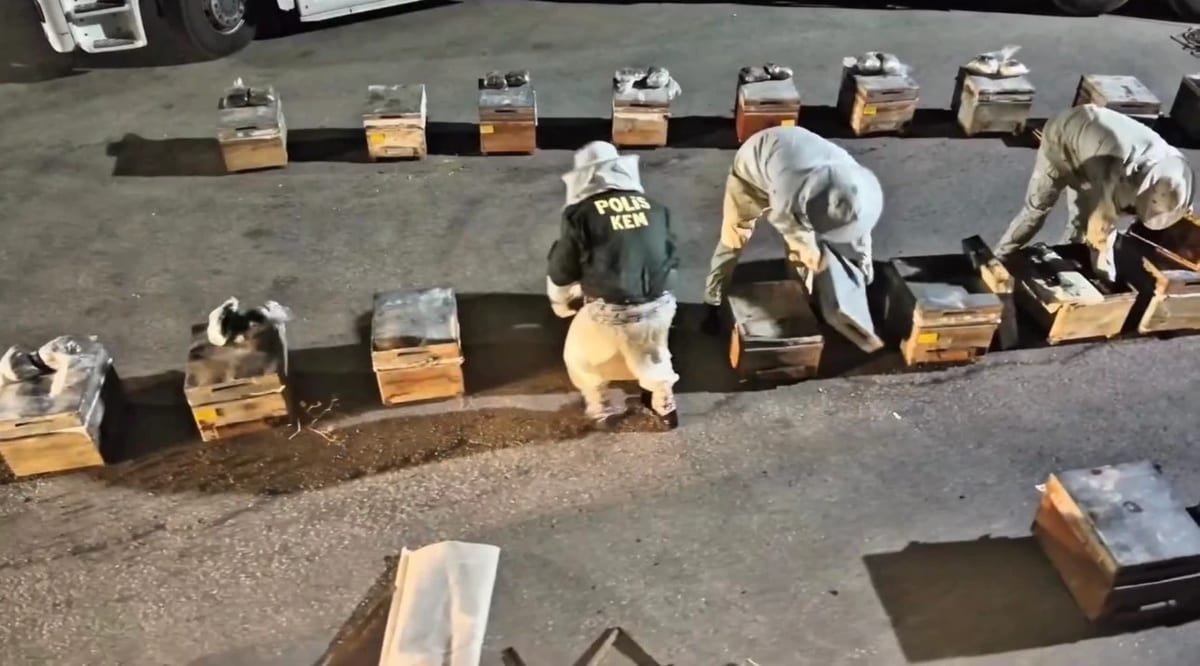 Yüksekova’da ballı uyuşturucu operasyonu: Kovanlardan 91 kilo uyuşturucu madde çıktı