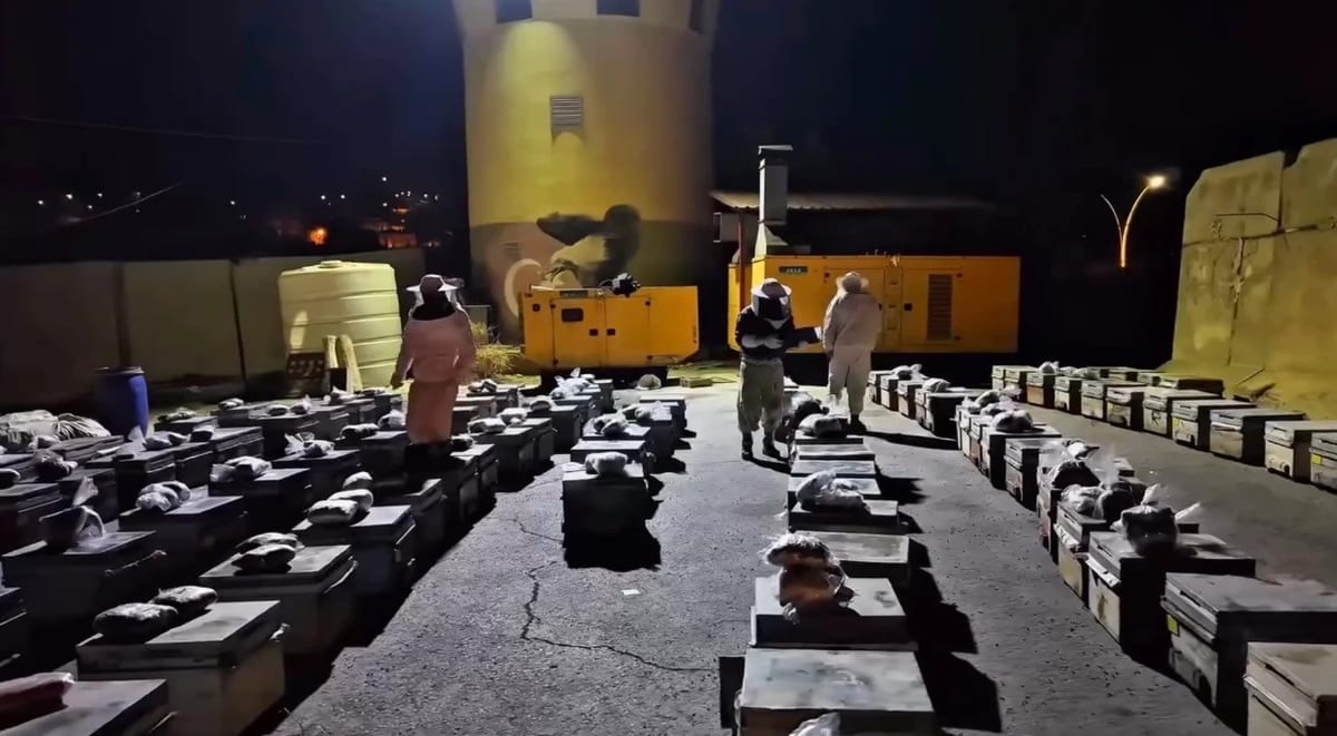 Yüksekova’da ballı uyuşturucu operasyonu: Kovanlardan 91 kilo uyuşturucu madde çıktı