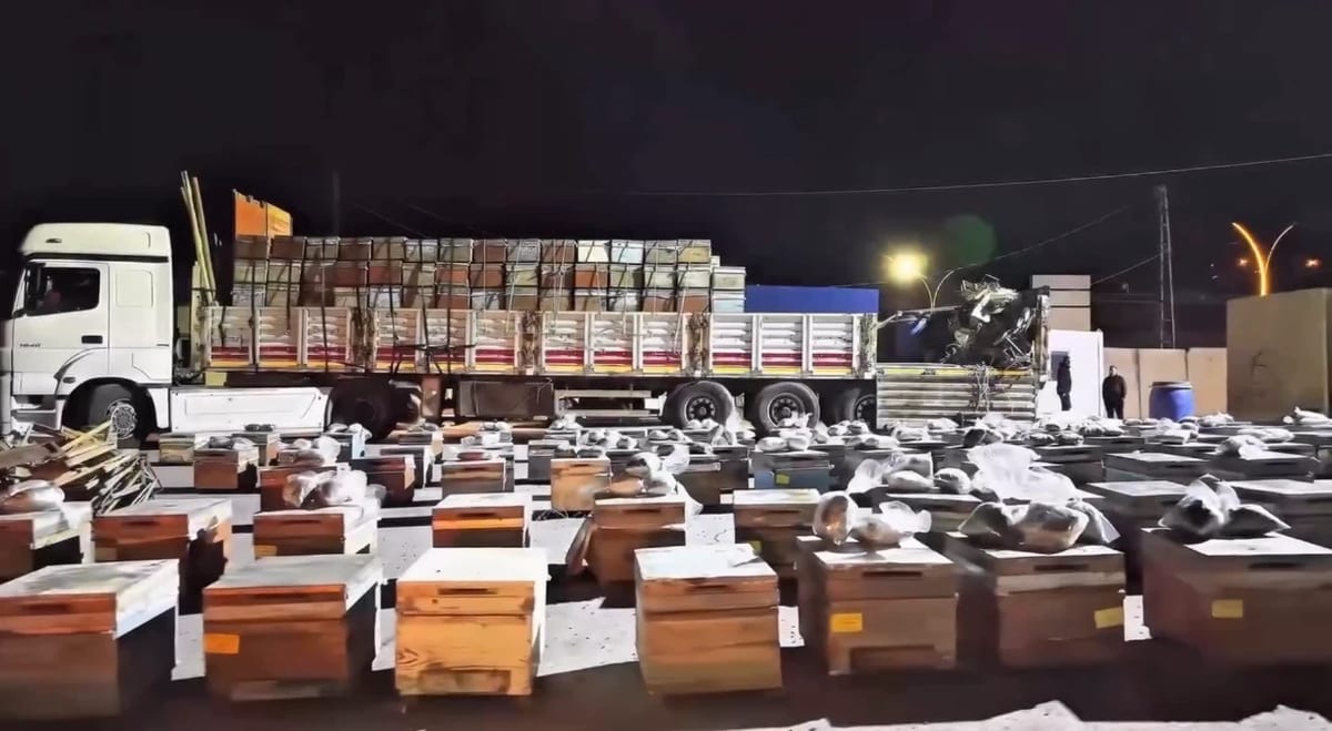 Yüksekova’da ballı uyuşturucu operasyonu: Kovanlardan 91 kilo uyuşturucu madde çıktı