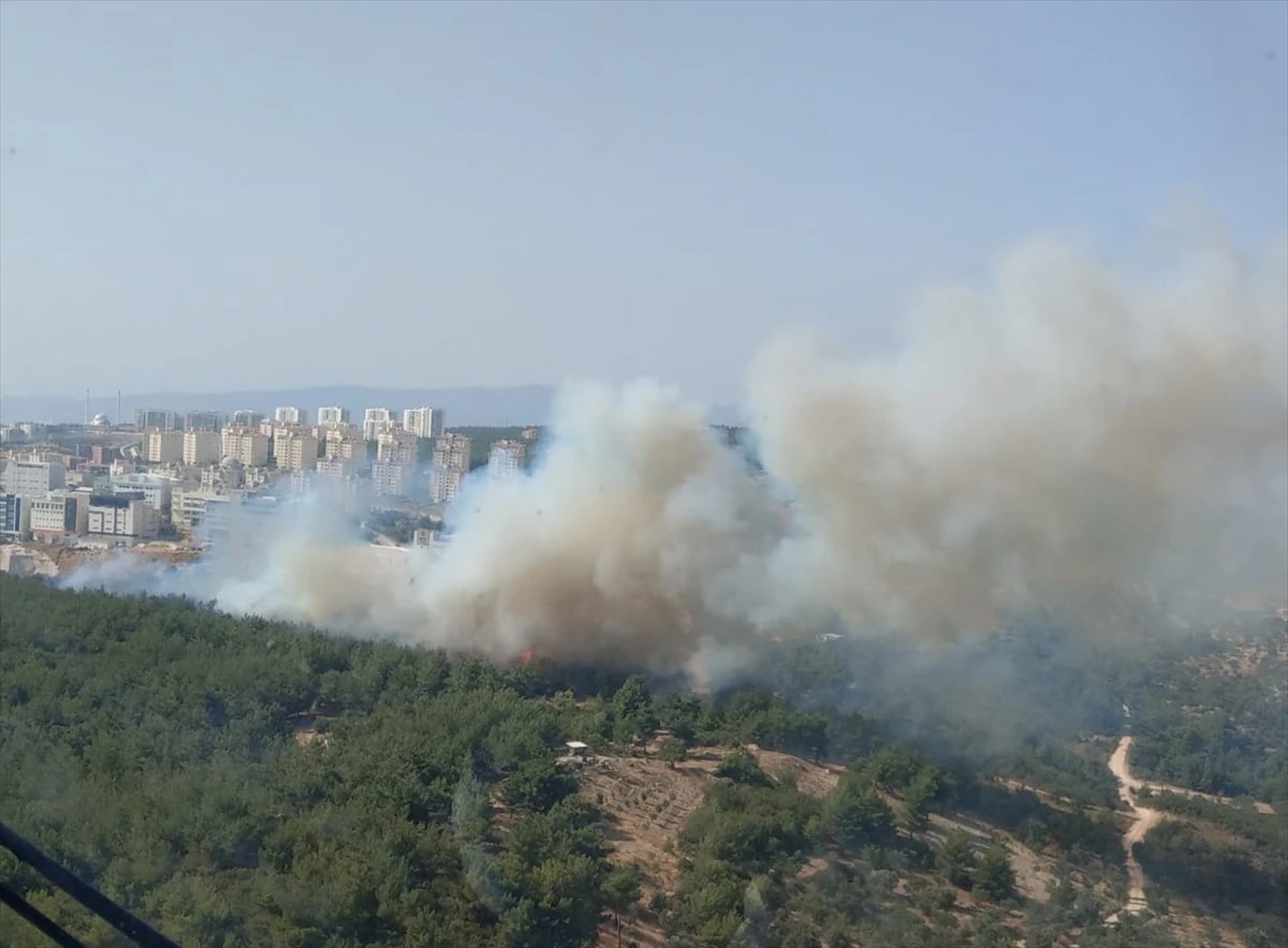 İzmir’de Ormanlık Alanda Yangın