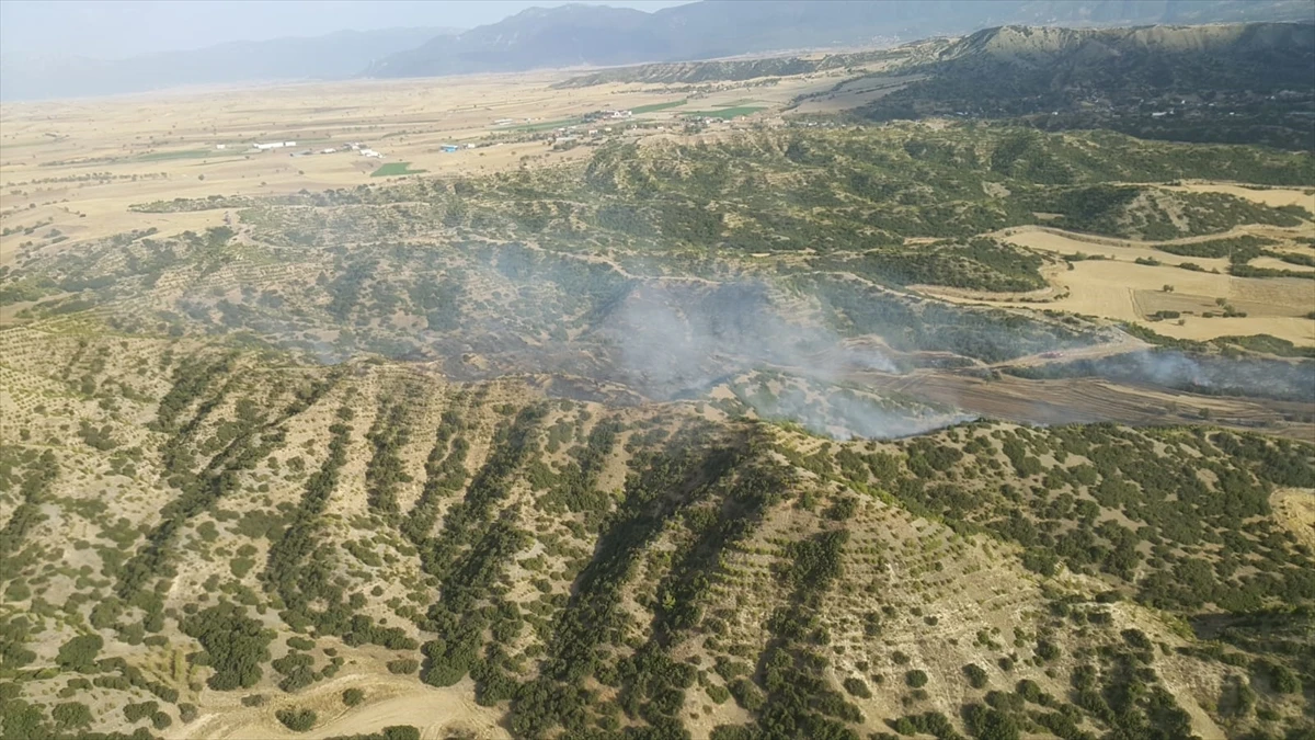 Denizli’de Çıkan Yangında 1 Hektar Ormanlık Alan Zarar Gördü