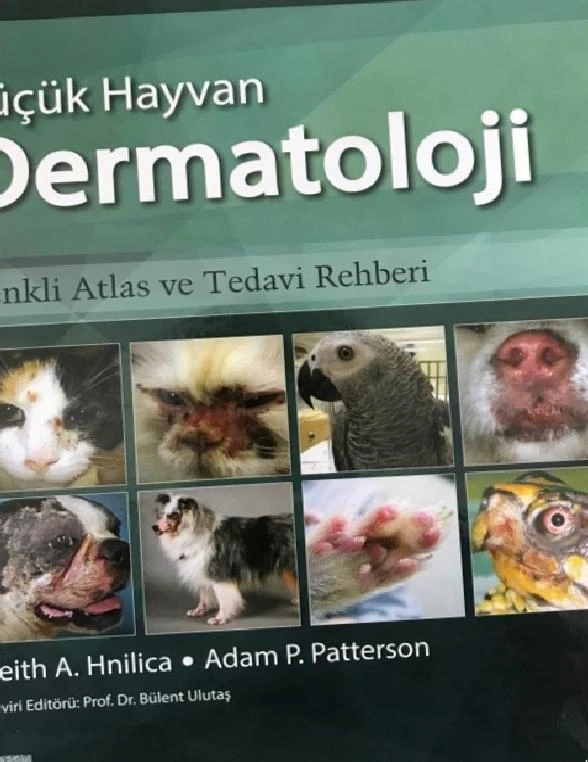 ADÜ’lü Öğretim Üyesinin Çevirisini Yaptığı Kitap Yayınlandı