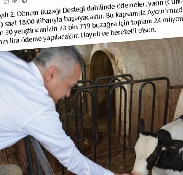 Buzağı Destek Ödemeleri Yarın Başlıyor
