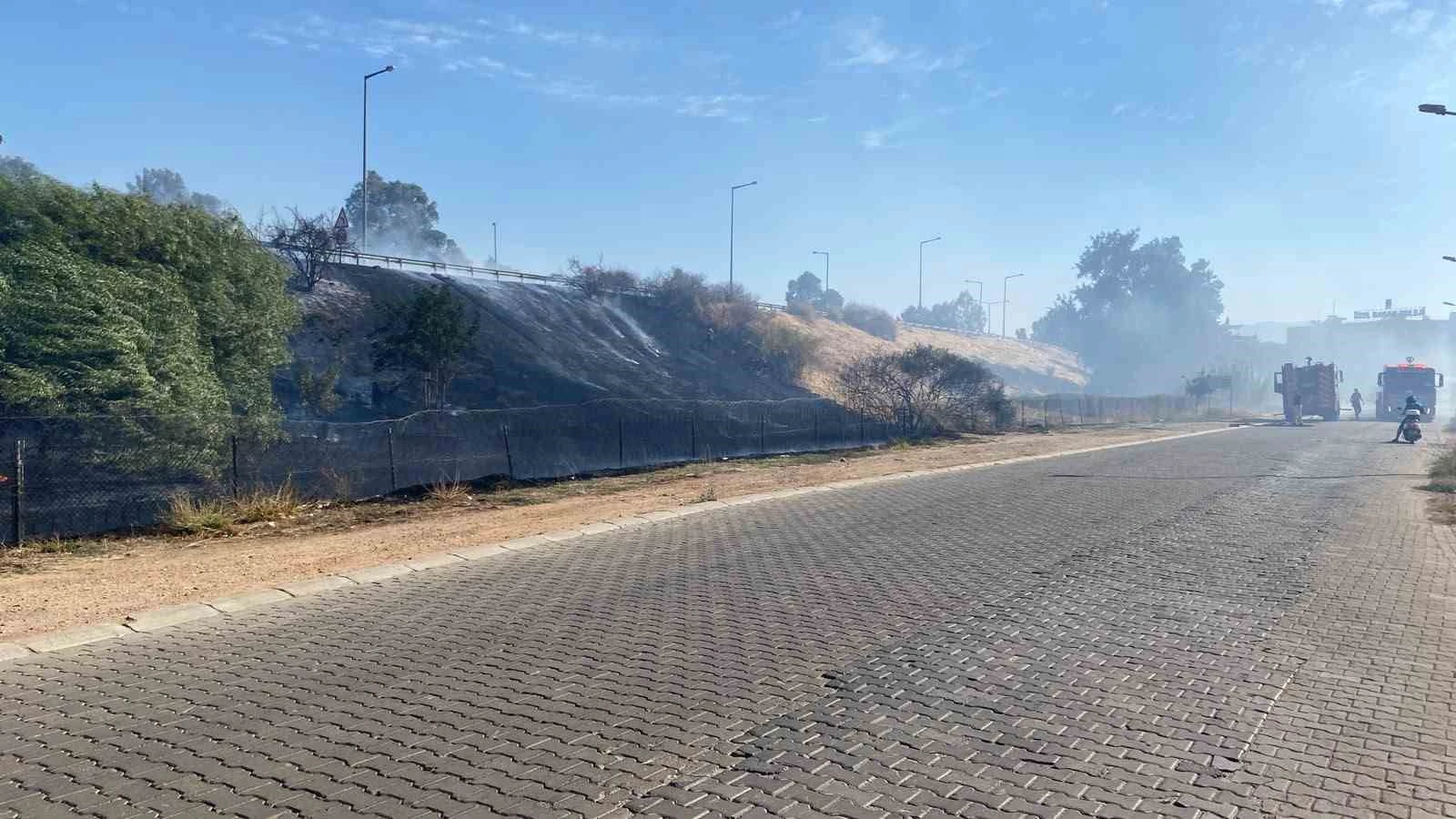 Efeler Işıklı Mahallesi'nde Otluk Yangını