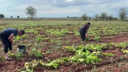 AFAD, Osmaniye’nin Sumbas ilçesinde 5.2 büyüklüğünde deprem meydana geldiğini duyurdu videosu