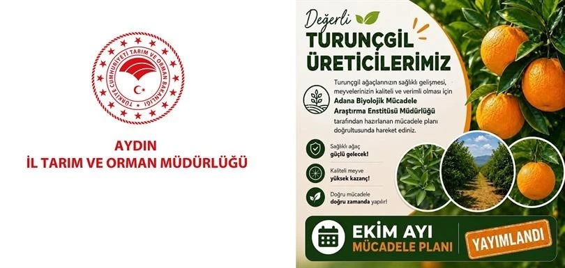 Aydın’da turunçgil bahçeleri için Ekim ayı mücadele planı açıklandı