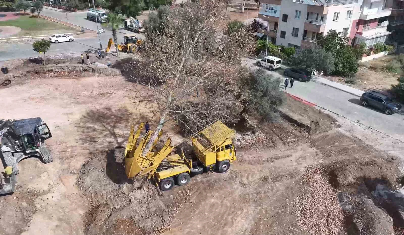 Başkan Gençay: "Yeşil alanlarımızı gelecek için koruyoruz"