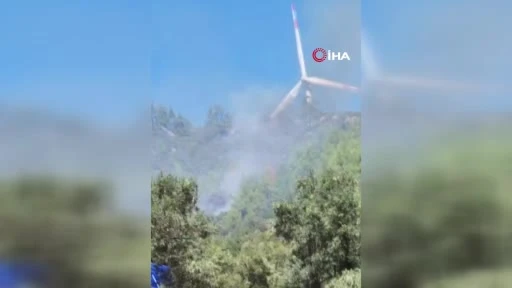Bodrum Mazı'da Orman Yangını: 6 Helikopter, 2 Uçak Müdahale