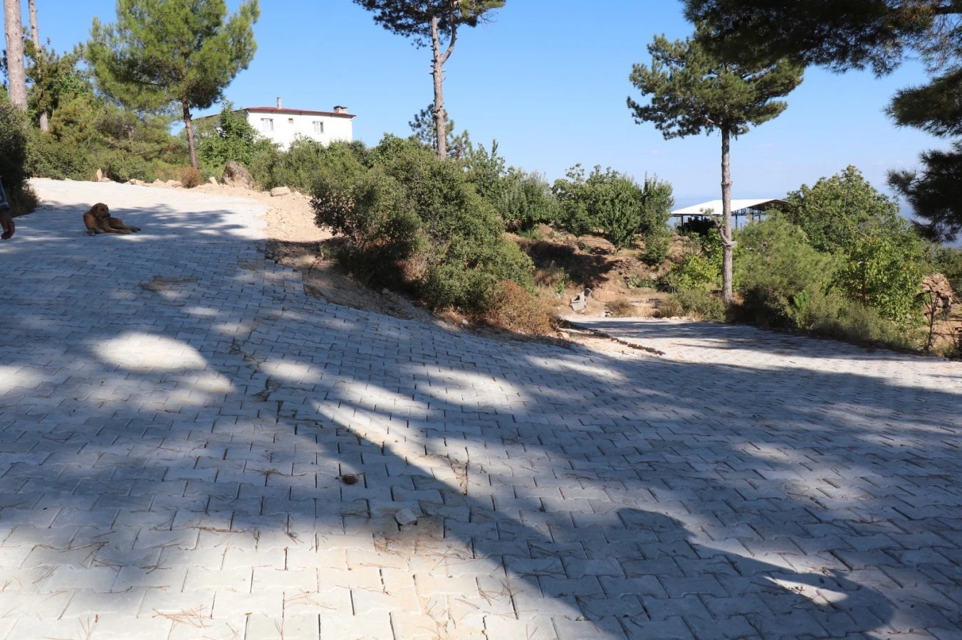 Bozdoğan'da Madran Yayla Yolundaki İyileştirme Çalışması Tamamlandı