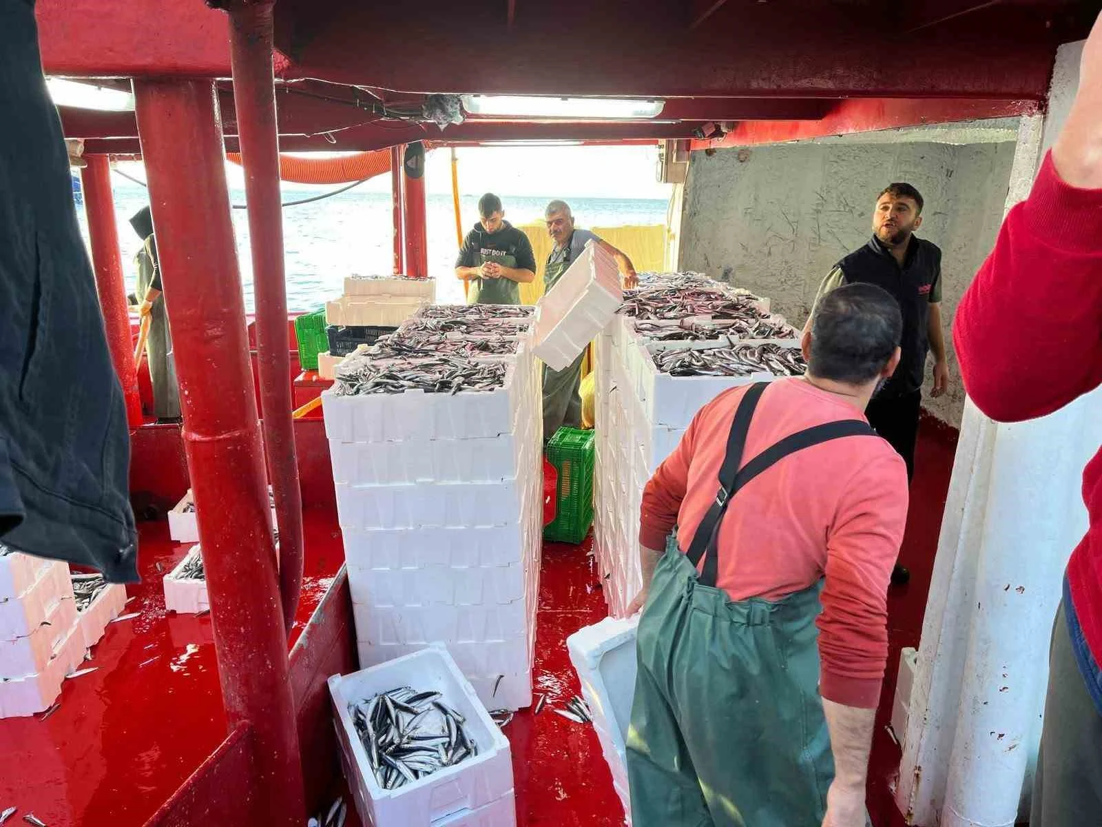 Didim’de ‘Hamsi Kotası’ denetimi yapıldı