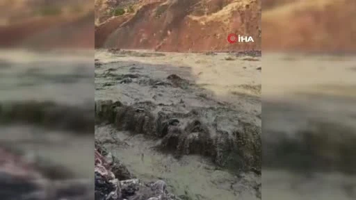 Palu Gökdere'de Sağanak Sonrası İnekler Arazide Mahsur Kaldı