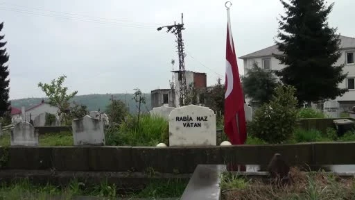 Eynesil'de Rabia Naz'ın Babası Adalet Bakanlığı'na Yeniden İnceleme İstedi