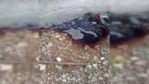 Denize Kırmızı Sıvı Karıştı, Yalova Çiftlikköy Taşköprü Beldesinde